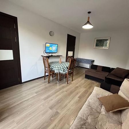 Ana'S Cosy Home In Borjomi Center Экстерьер фото