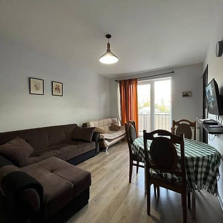 Ana'S Cosy Home In Borjomi Center Экстерьер фото