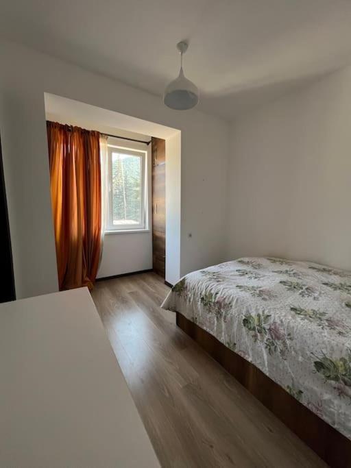 Ana'S Cosy Home In Borjomi Center Экстерьер фото