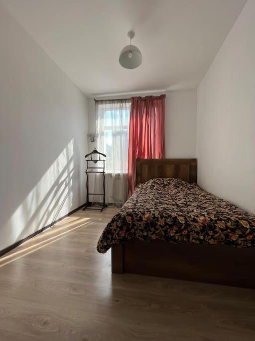 Ana'S Cosy Home In Borjomi Center Экстерьер фото